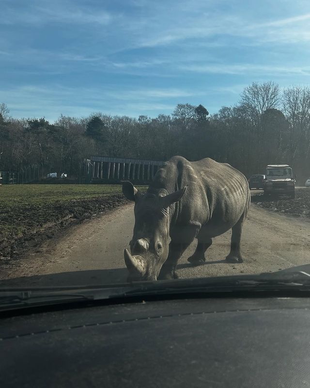 伍斯特周邊必衝！西密德蘭茲野生動物園保姆級攻略真實體驗
