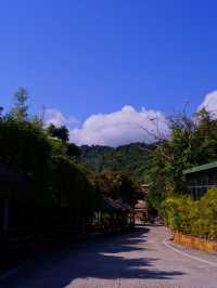 5日暢遊三亞—南山海上觀音—西島 探尋綠意盎然的自然秘境