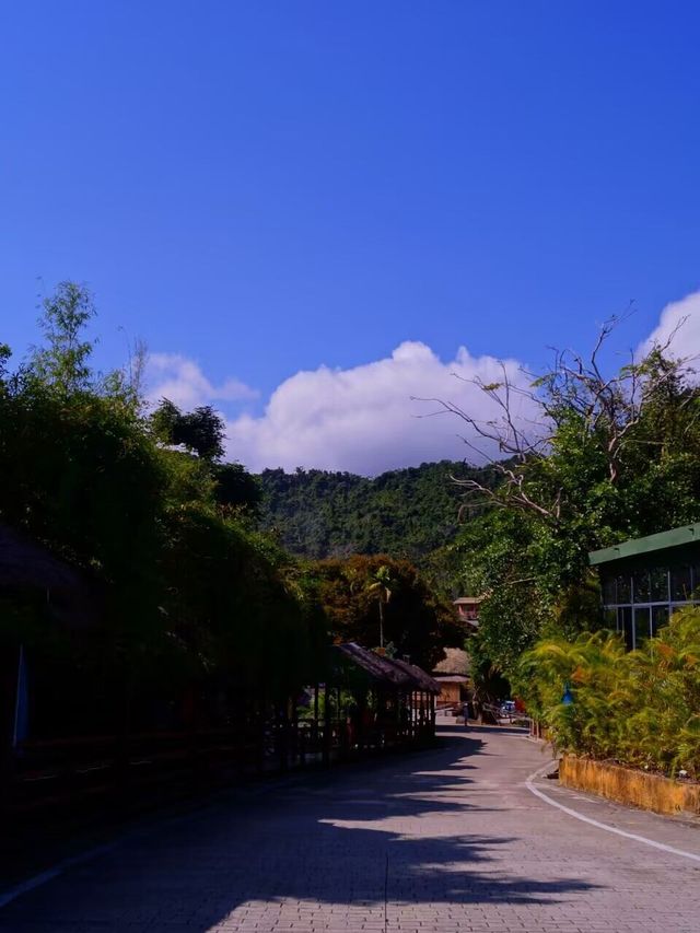 5日暢遊三亞—南山海上觀音—西島 探尋綠意盎然的自然秘境