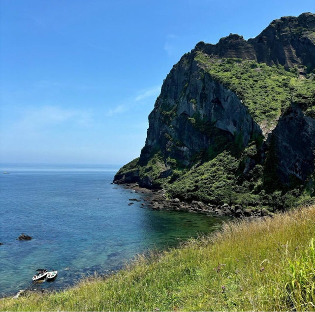 櫻花與海的約定：韓國小島春日之旅。