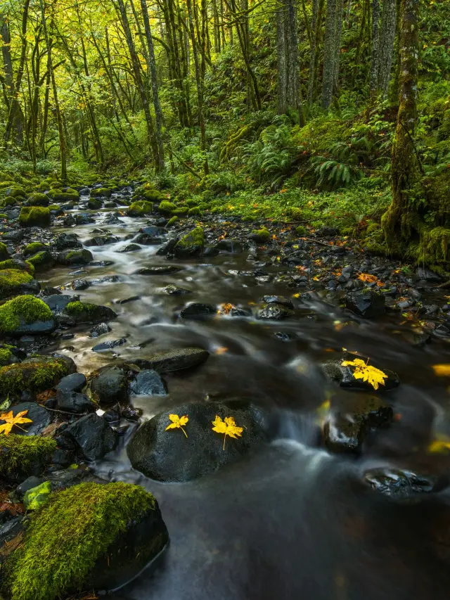 7일 미국 여행, 짧은 연휴에 딱 맞는 여행