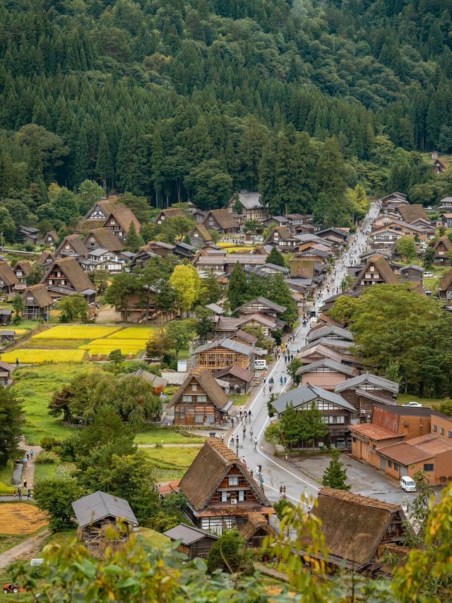 北陸秘境白川鄉｜我心目中嘅夏日綠洲