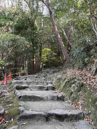 四國松山｜愛媛除了道後溫泉，還有松山城