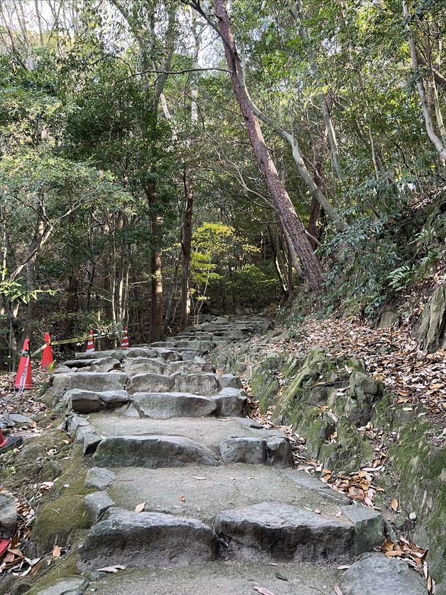 四國松山｜愛媛除了道後溫泉，還有松山城
