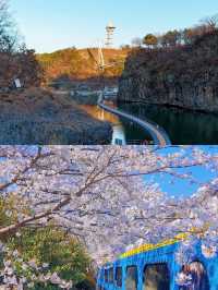莞島郡：韓國的海上明珠，治癒系小島的浪漫之旅！