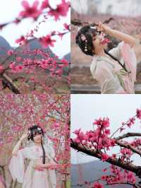 反向賞花攻略｜十里桃花嘅連州，你收埋得咁深