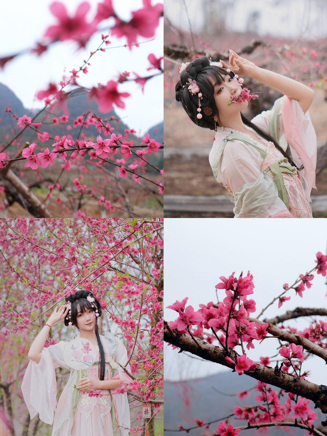 反向賞花攻略｜十里桃花嘅連州，你收埋得咁深