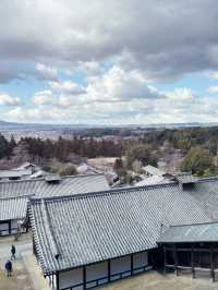 奈良飯道神社：隱藏在山林間的靈性之地