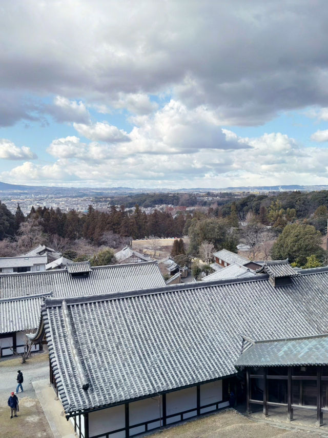 奈良飯道神社：隱藏在山林間的靈性之地