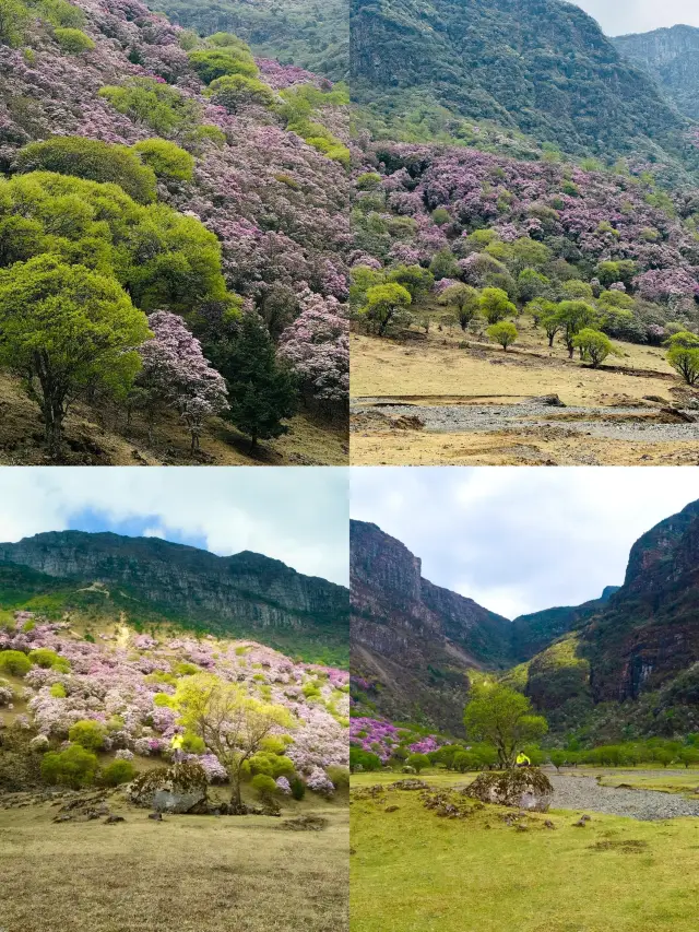 Can't go to Antarctica? Come to Shenxianba and be an immortal for a day!