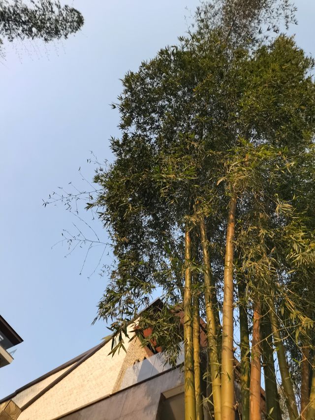 夕陽江畔嘅寧靜時光