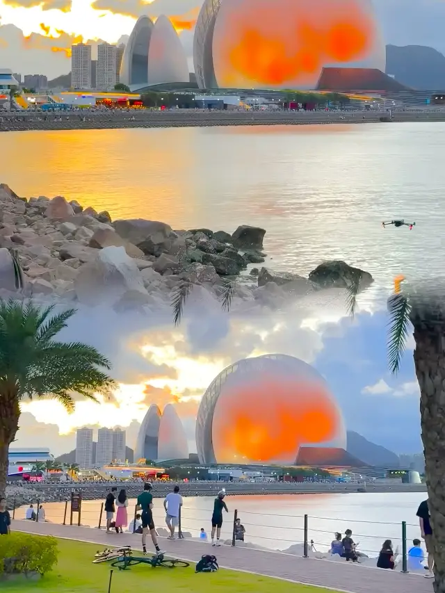 珠海真的一點都不缺好看的公園,最新全免費合集