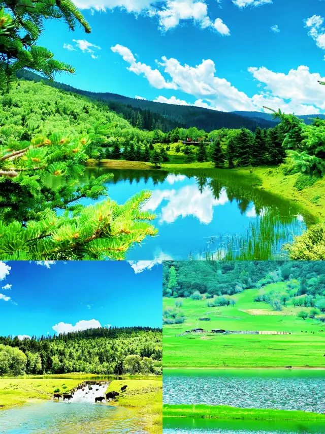 《「香格里拉」：蠔牛比我更識擺甫士！》