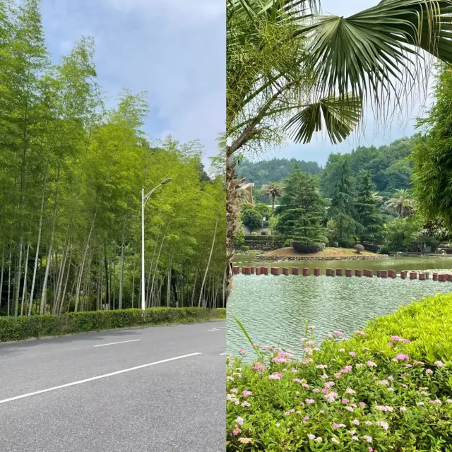 宜春明月山天沐溫泉：山水間嘅療癒之旅