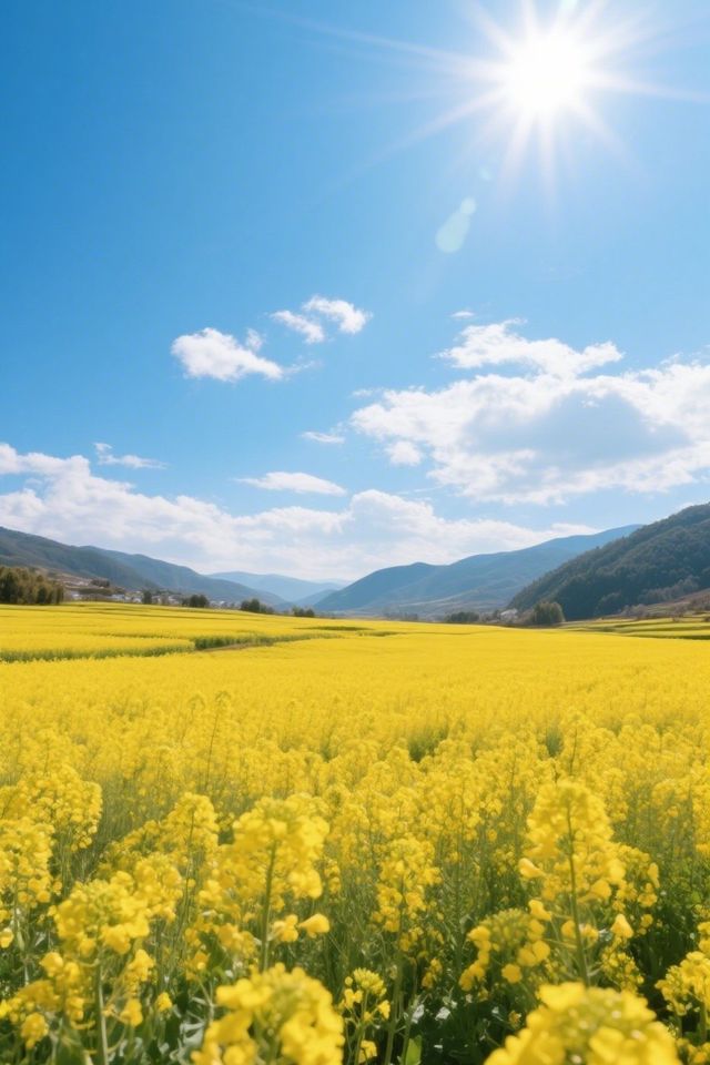保山油菜花真係好靚呀！唔好錯過春天嘅金色浪漫啦
