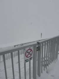 立山黑部：從暴風雪到晴空萬里的奇妙旅程