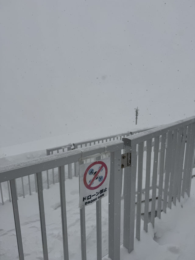 立山黑部：從暴風雪到晴空萬里的奇妙旅程