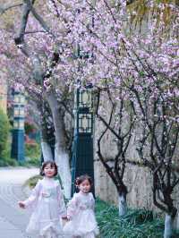 遛娃寶藏地淹城春秋樂園2025親子攻略