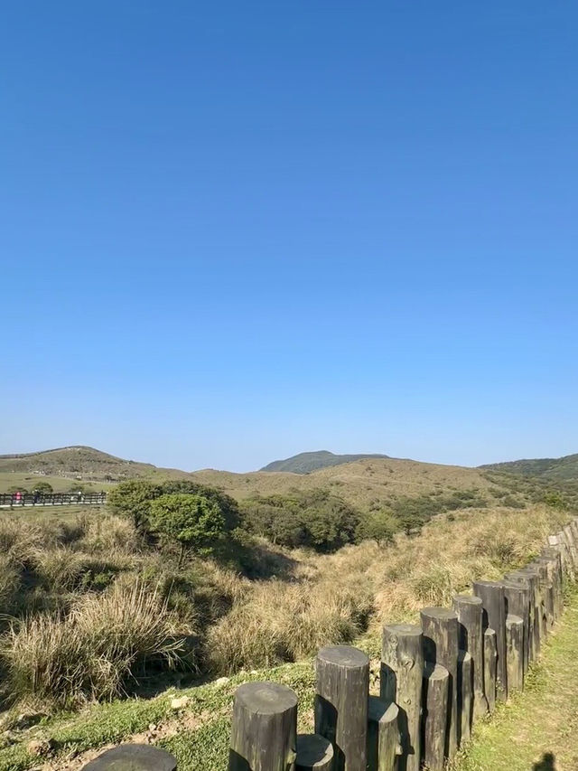 山嵐與硫磺香：陽明山上的季節私語