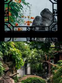 蘇州網師園 | 小眾寶藏園林，邂逅江南詩意
