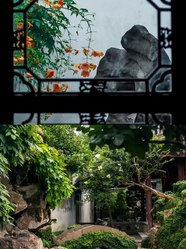 蘇州網師園 | 小眾寶藏園林，邂逅江南詩意