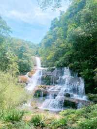 賞花採果之旅，體驗田園樂趣