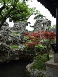 探秘古典園林，邂逅環秀山莊的靜謐之美！