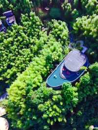 躲進竹海抱著雲朵瞓覺係一種咩嘢感覺
