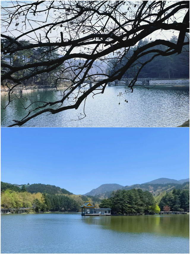啱啱從廬山返嚟！全部都係實話睇完再去