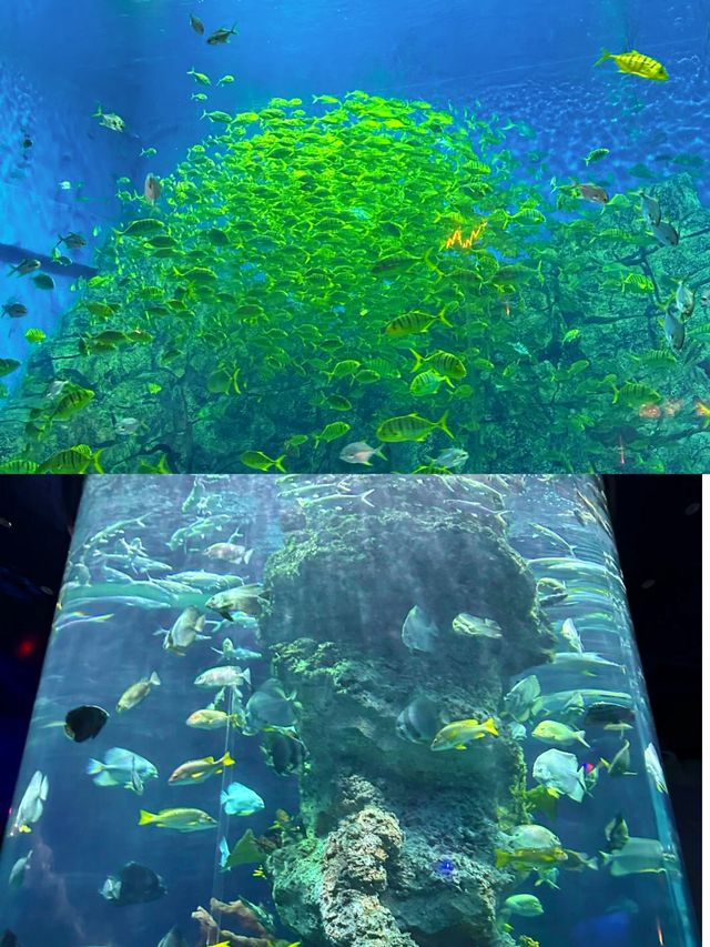 蕪湖心動擊，呢個寶藏城市終於藏唔住喇