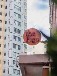  寵愛無界！香港上環The Figo酒店：人寵共樂的城市棲息地