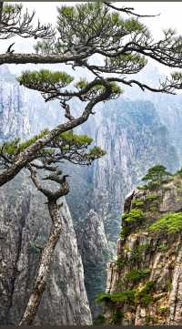 顛覆認知的黃山玩法：這些“隱藏地圖”才是精華！