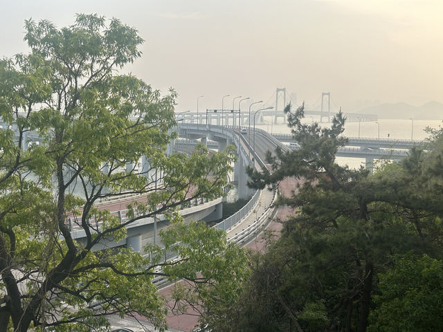 跨越山海，終至大連，海風詩意正濃！