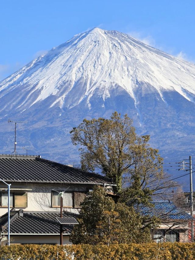 7-8月暑假日本暴走計劃！
