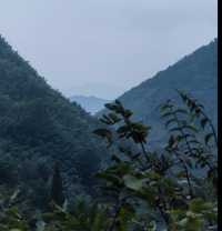 《山靄深處：與簷角苔衣的千年私語》