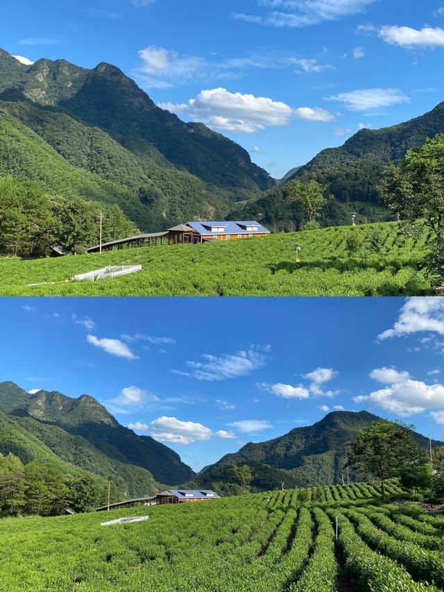 逃離人潮！發現皖南秘境嘅水墨汀溪