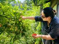 呢度真係夏天嘅好去處