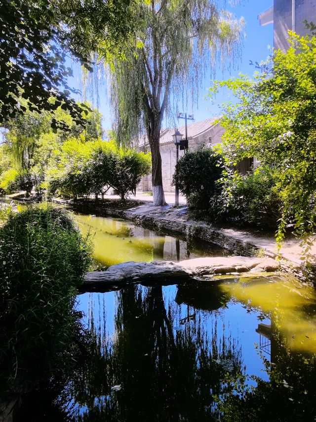 適合一個人旅行的目的地｜北京三里河公園