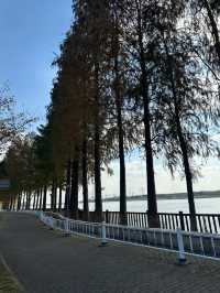 逃離都市喧囂，邂逅上海太陽島嘅悠然時光