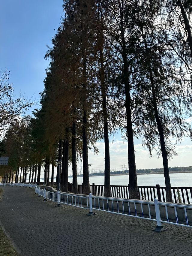 逃離都市喧囂，邂逅上海太陽島嘅悠然時光