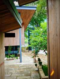 溫州1小時直達！解鎖湖嶺泉玥民宿嘅山野愜意時光