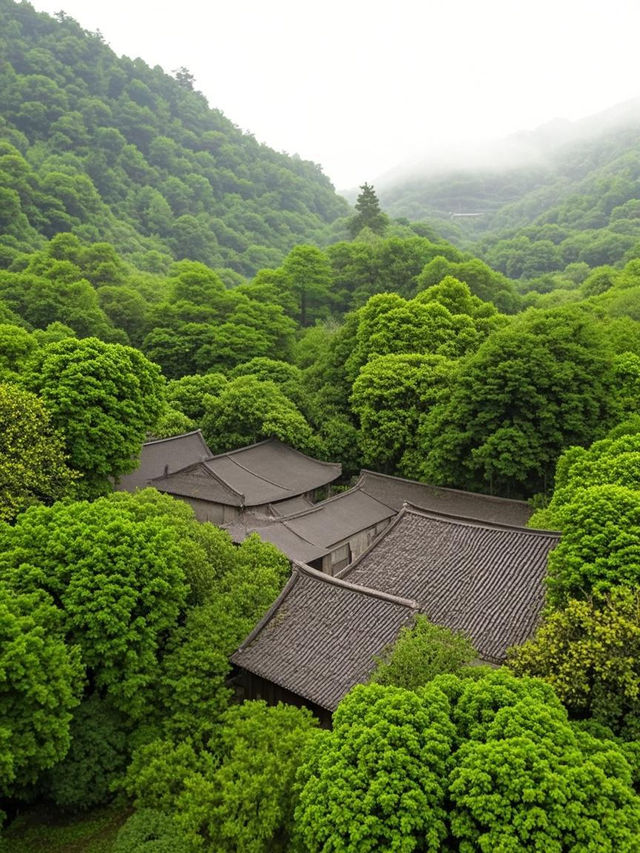 杭州修仙奇譚！四點起身帶娃捉佛祖返工係咩體驗