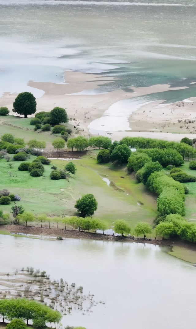 雅尼國家濕地公園