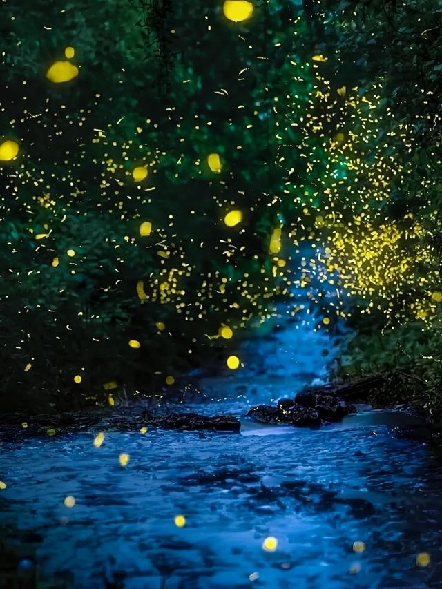 成都人嘅後花園｜小眾周邊遊｜邛崃私湯新民宿