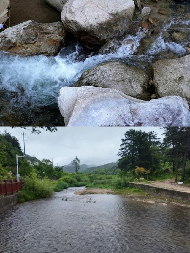 住進雲端竹海！避暑天花板嚟啦