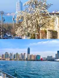 漫步於長長嘅玻璃隧道中，彷彿真正置身海底世界