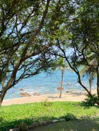 三亞南山海上觀音｜108米海上聖像祈福全攻略