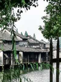 發現寶藏之地  被治癒了  彷彿走出來了