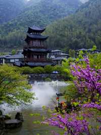 葛仙村旅遊攻略