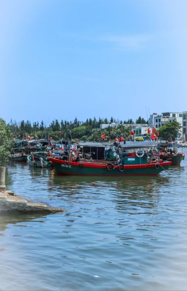 瓊海·潭門跨越時空，邂逅千年漁港之美  
瓊海潭門鎮，與博鰲一水相鄰，最著名的莫過於這裡剛捕撈上岸